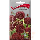 Василек Красный Карлик 0,1гр Поиск