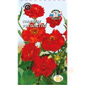 Гравилат Риголетто чилийский 50шт 0,1гр Седек