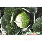 Капуста б/к Нозоми F1 20шт НК