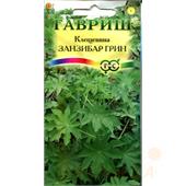 Клещевина Занзибар Грин 5шт Гавриш