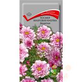 Космея Махровая кнопка Двуцветная 0,1гр Поиск