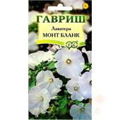 Лаватера Монт Бланк 0,5 гр Гавриш