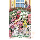 Львиный зев Амулет ампельный 5шт Гавриш