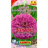 Цинния Крупноцветковая пурпурная 0,3гр Аэлита