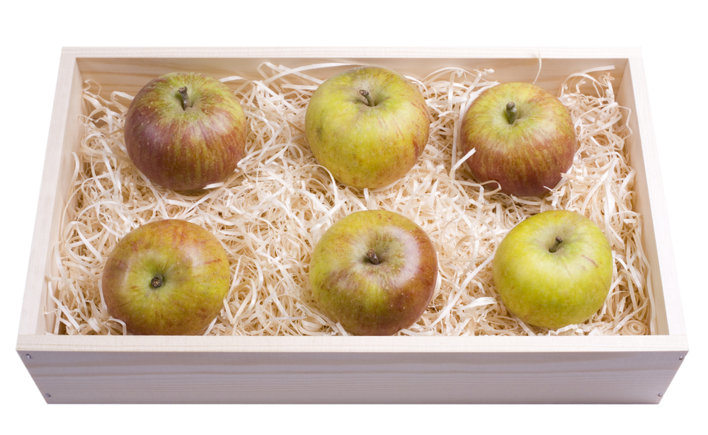 Яблоки в опилках. Хранение яблок. Яблоки на зиму в опилках. Ящик с яблоками.