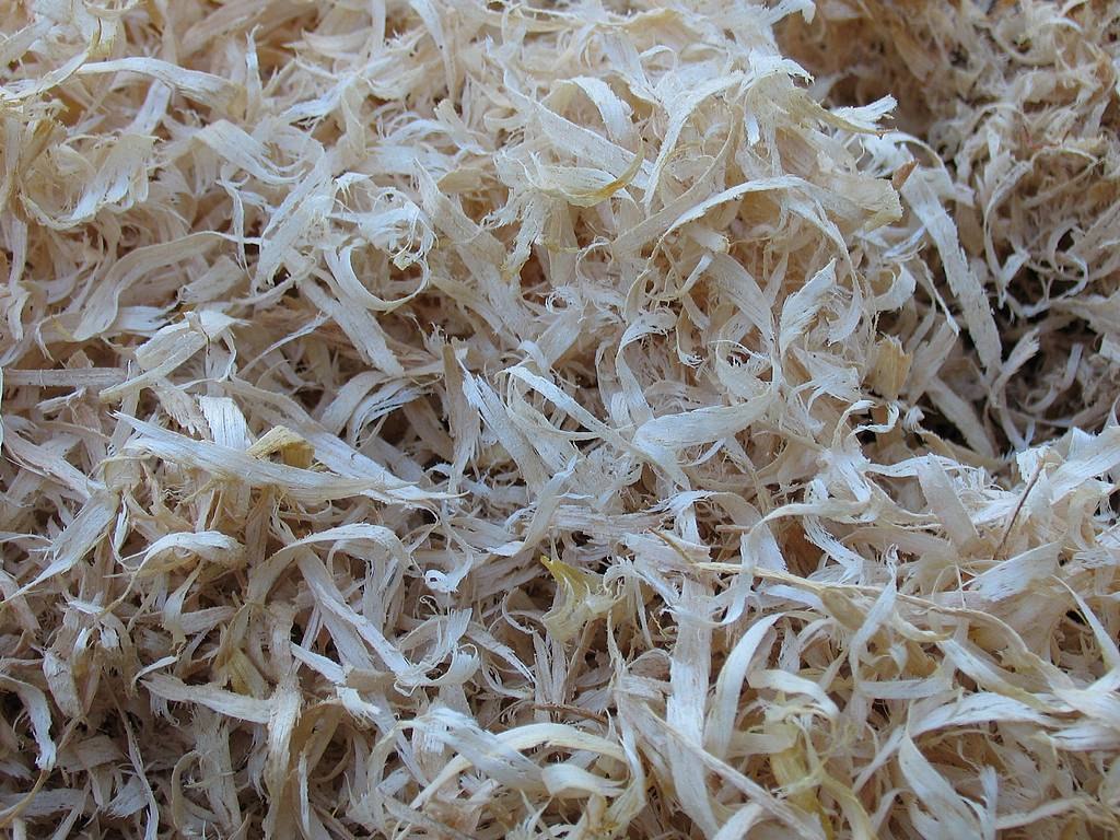 Опилки фото картинки