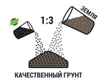 сапропель