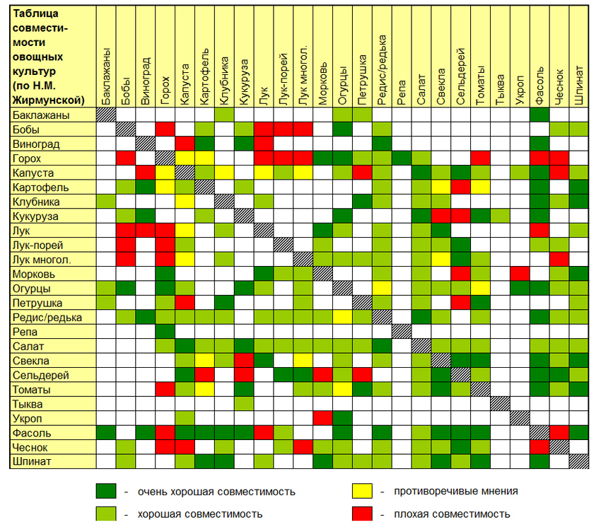 Саженцы яблони черешни абрикоса. Черешню сажают рядом с. Размер кроны плодовых деревьев и кустарников таблица. Дюк фесанна. Черешню сажают рядом с.