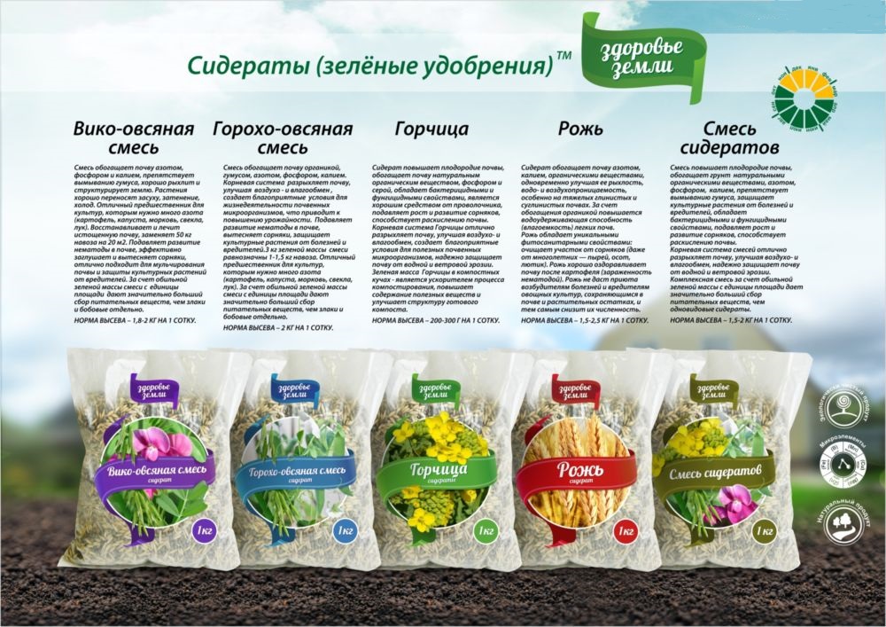 Сидераты список с картинками