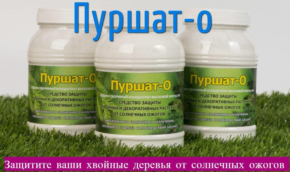 От ожогов хвойных. Средство Пуршат. Средство для хвойных от ожогов. Препарат для хвойных от солнечных ожогов. Пуршат-м для хвойных.