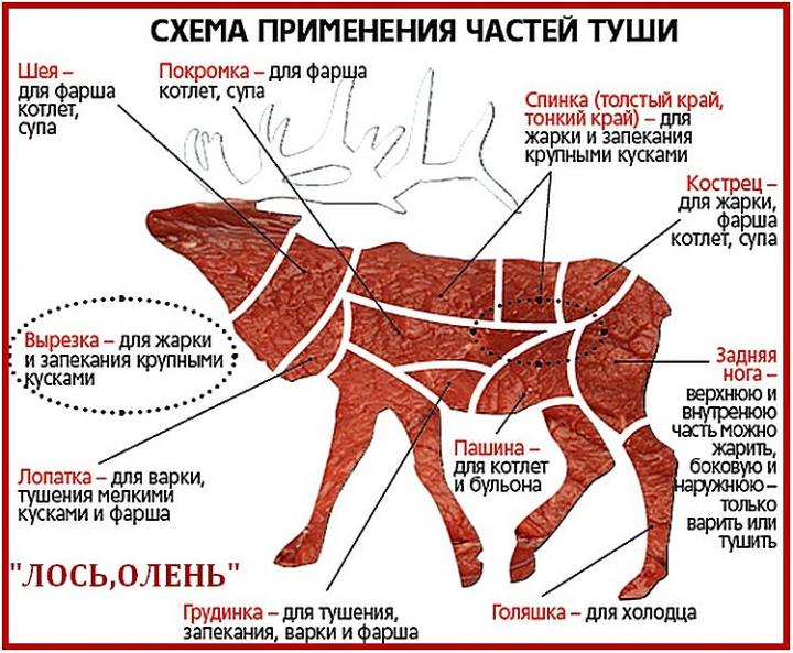 фото разделки туши