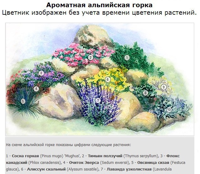фото планировки каменистых горок
