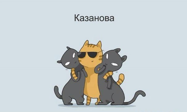 котики
