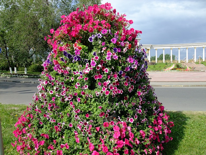 вертикальная клумба