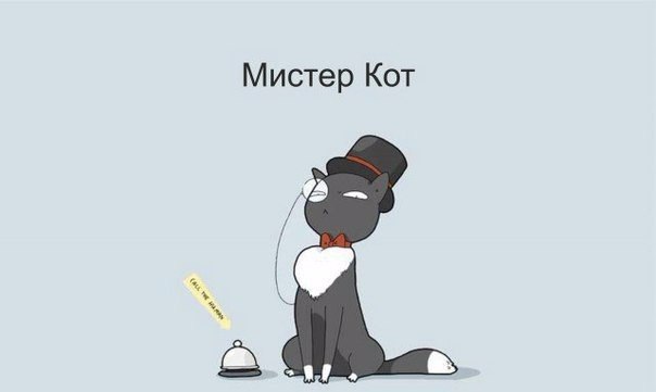 кот