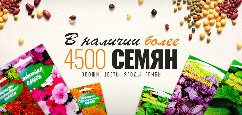 Семена купить симферополь