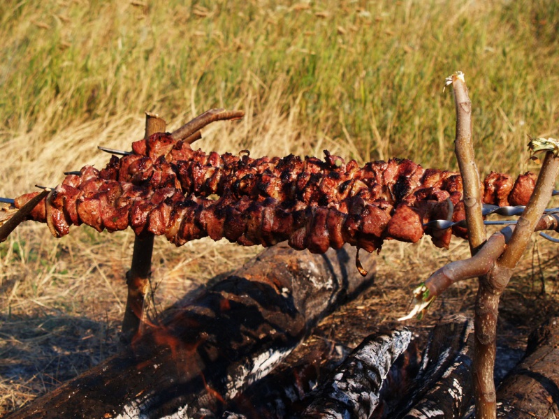 фото ШАШЛЫК ИЗ МЯСА ЛАНИ, ЛОСЯ, ОЛЕНЯ ИЛИ ДИКОЙ КОЗЫ