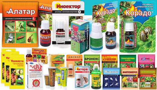 Фото средства борьбы с вредителями в Садовом Центре ПЯТНИЦА, Нижний Тагил