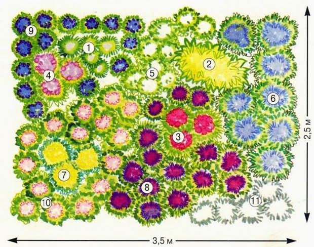 планировка цветника