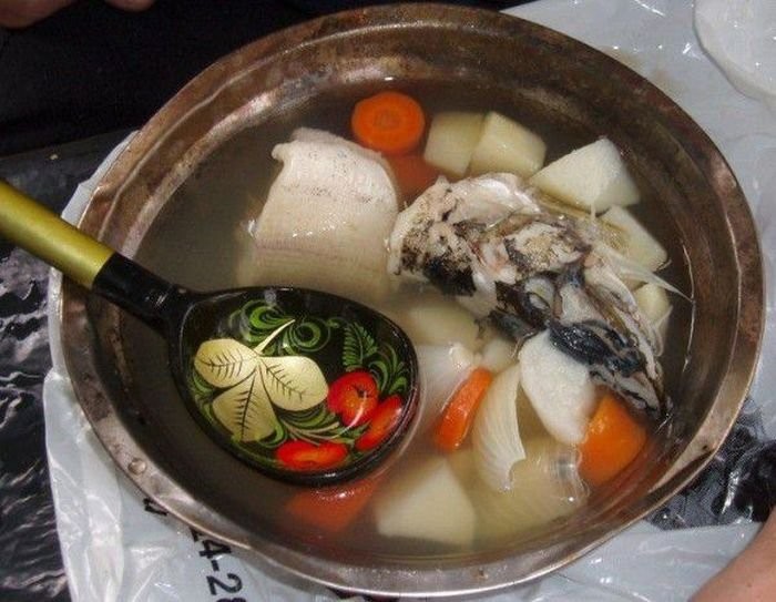 Фото уха рыбацкая