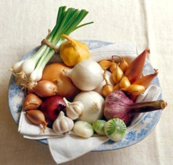 фото луковые овощи