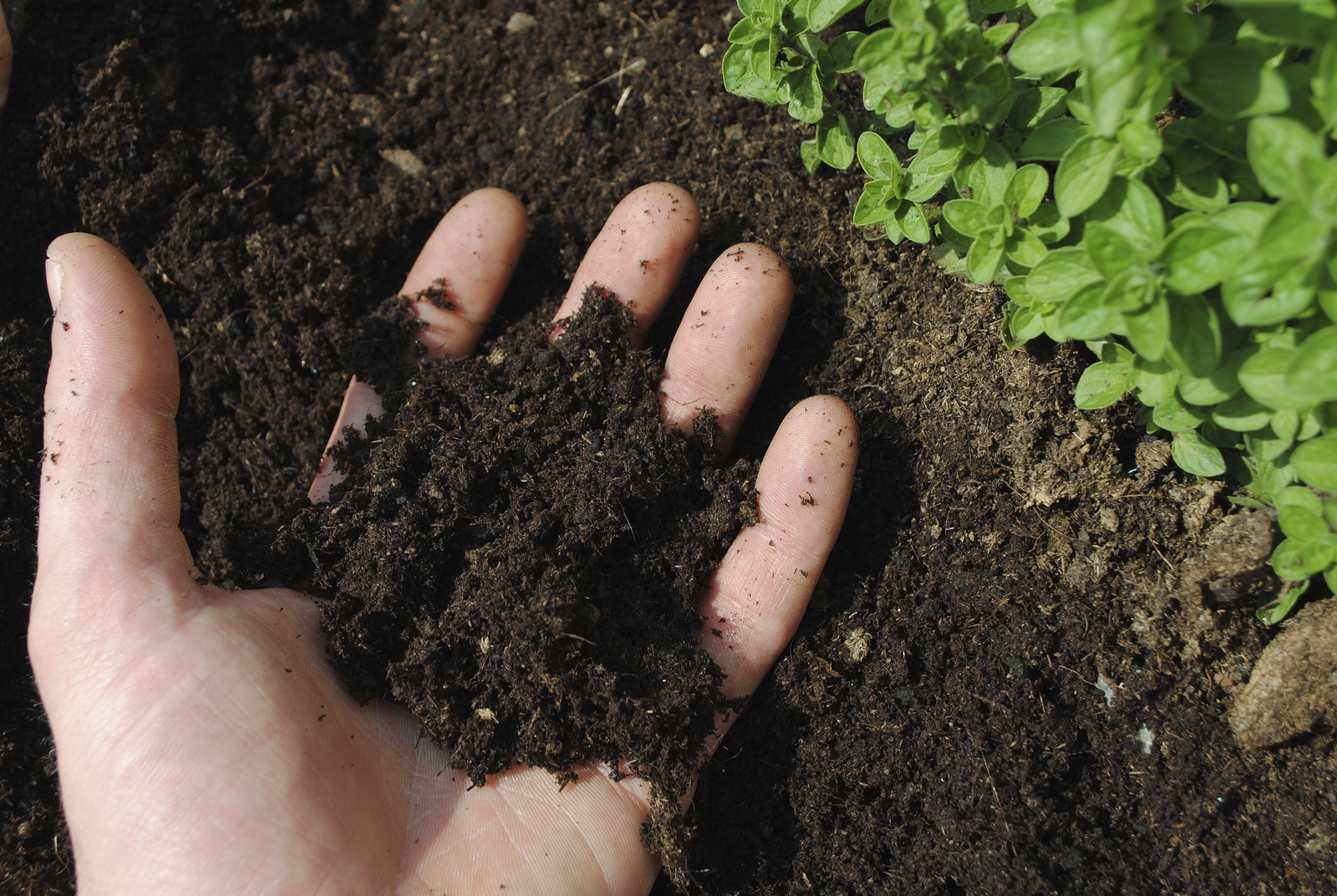 улучшение качества почвы