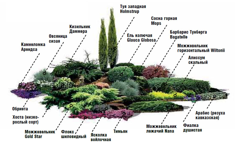 фото планировки каменистых горок