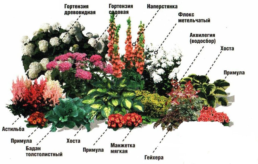 цветник