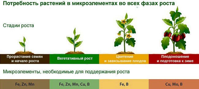 Питание растений и удобрения