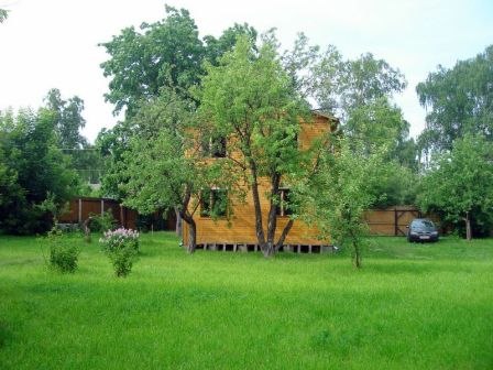 газон
