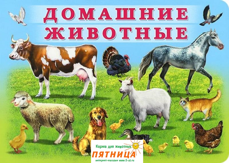 премиксы для домашних животных