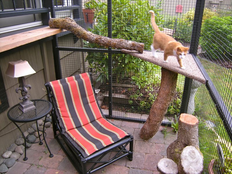 котио