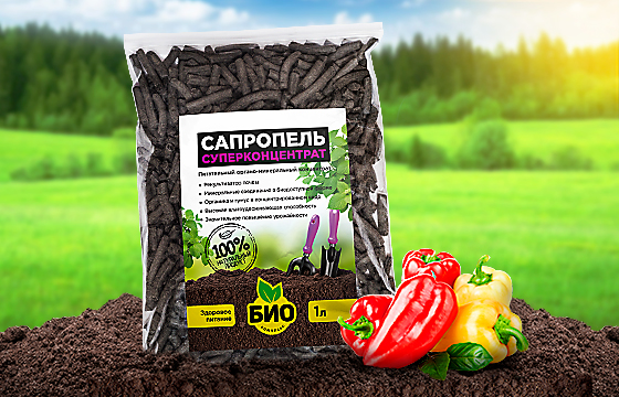 сапропель