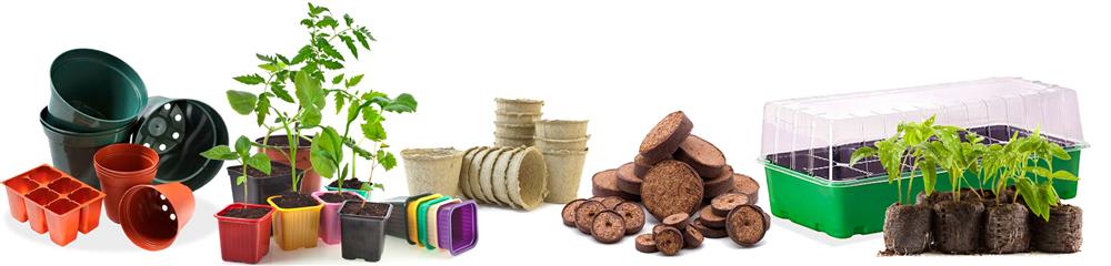 купить емкости для рассады