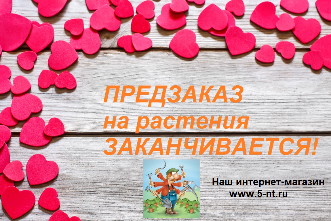 предзаказ садовый центр пятница