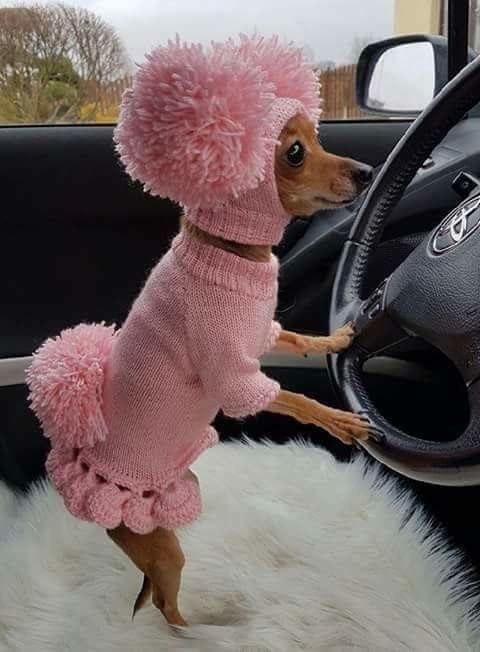 на дачу