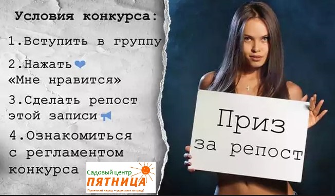 репост