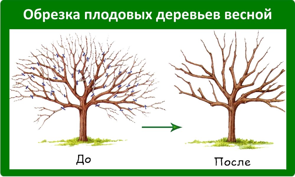 обрезка